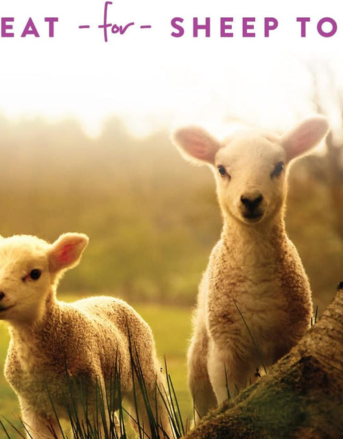 Load image into Gallery viewer, Goat Treats - Made with Oatmeal – Daily Goat Treats - Licorice Flavor – 6 Pounds of Goat Treats
