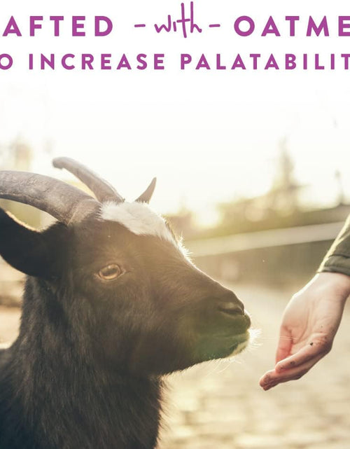 Load image into Gallery viewer, Goat Treats - Made with Oatmeal – Daily Goat Treats - Licorice Flavor – 6 Pounds of Goat Treats
