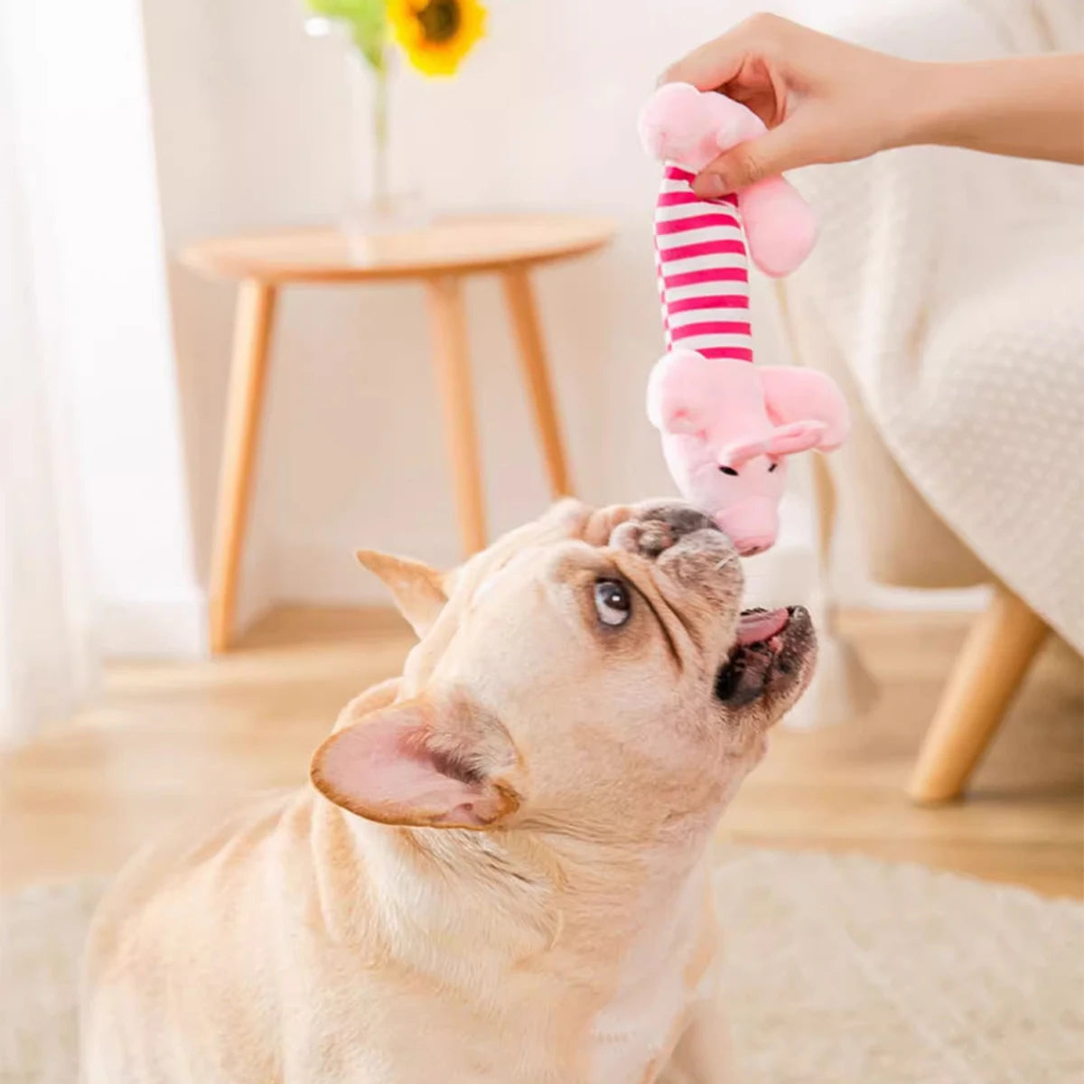 Animal Squeaky Toys for Dogs (Elephant/Duck/Pig) - Durable Chew Toys for Aggressive Chewers with Teeth Cleaning