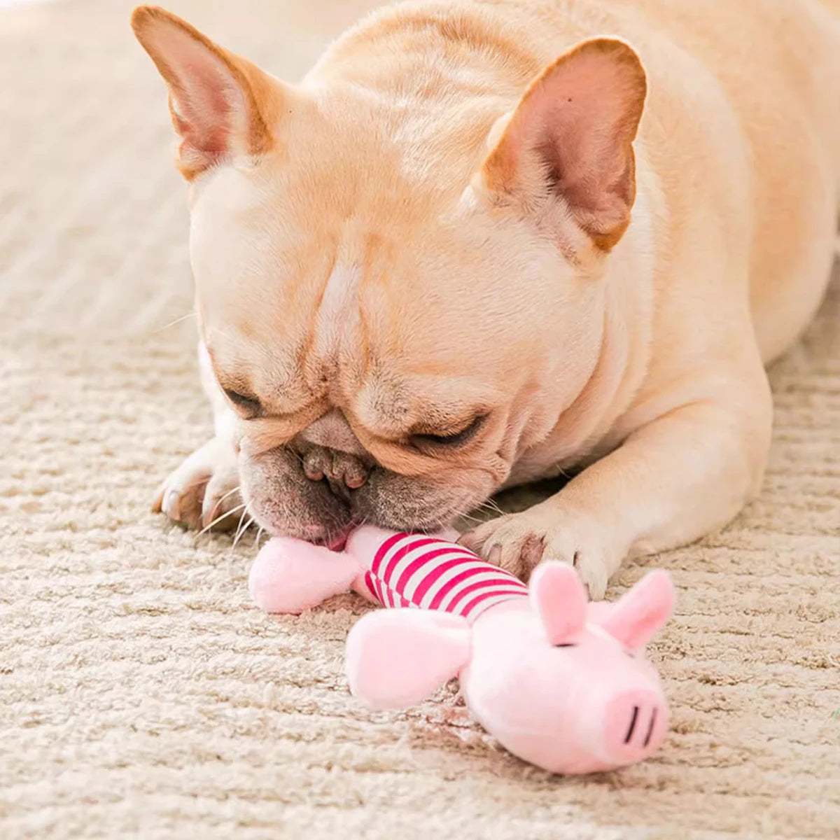 Animal Squeaky Toys for Dogs (Elephant/Duck/Pig) - Durable Chew Toys for Aggressive Chewers with Teeth Cleaning