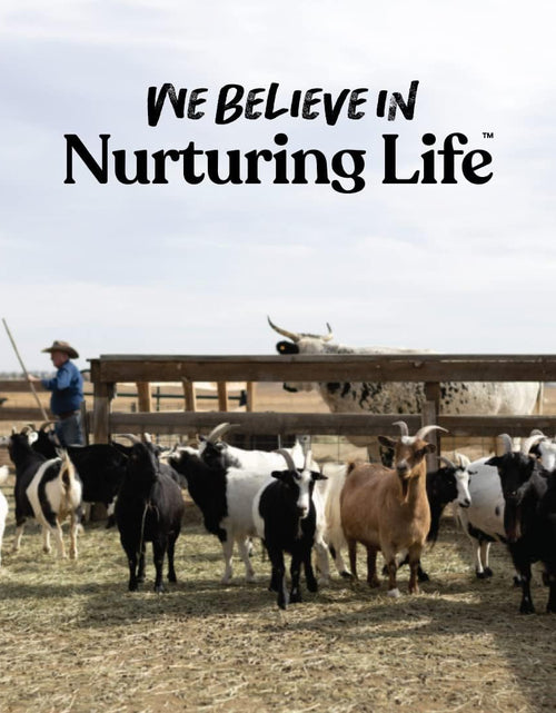 Load image into Gallery viewer, Goat Treats - Made with Oatmeal – Daily Goat Treats - Licorice Flavor – 6 Pounds of Goat Treats
