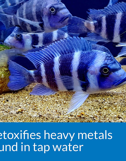 Load image into Gallery viewer, TAP WATER CONDITIONER Aquarium Water Conditioner 16-Ounce Bottle
