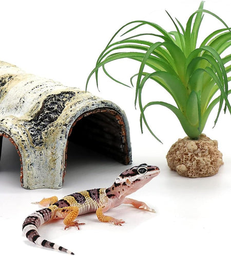 Reptile Hides and Caves Birch Tree Bark Trunk Habitats Decor Aquarium Decoration Wood for Lizard Geckos Snake Spiders Frogs Turtle (Small)